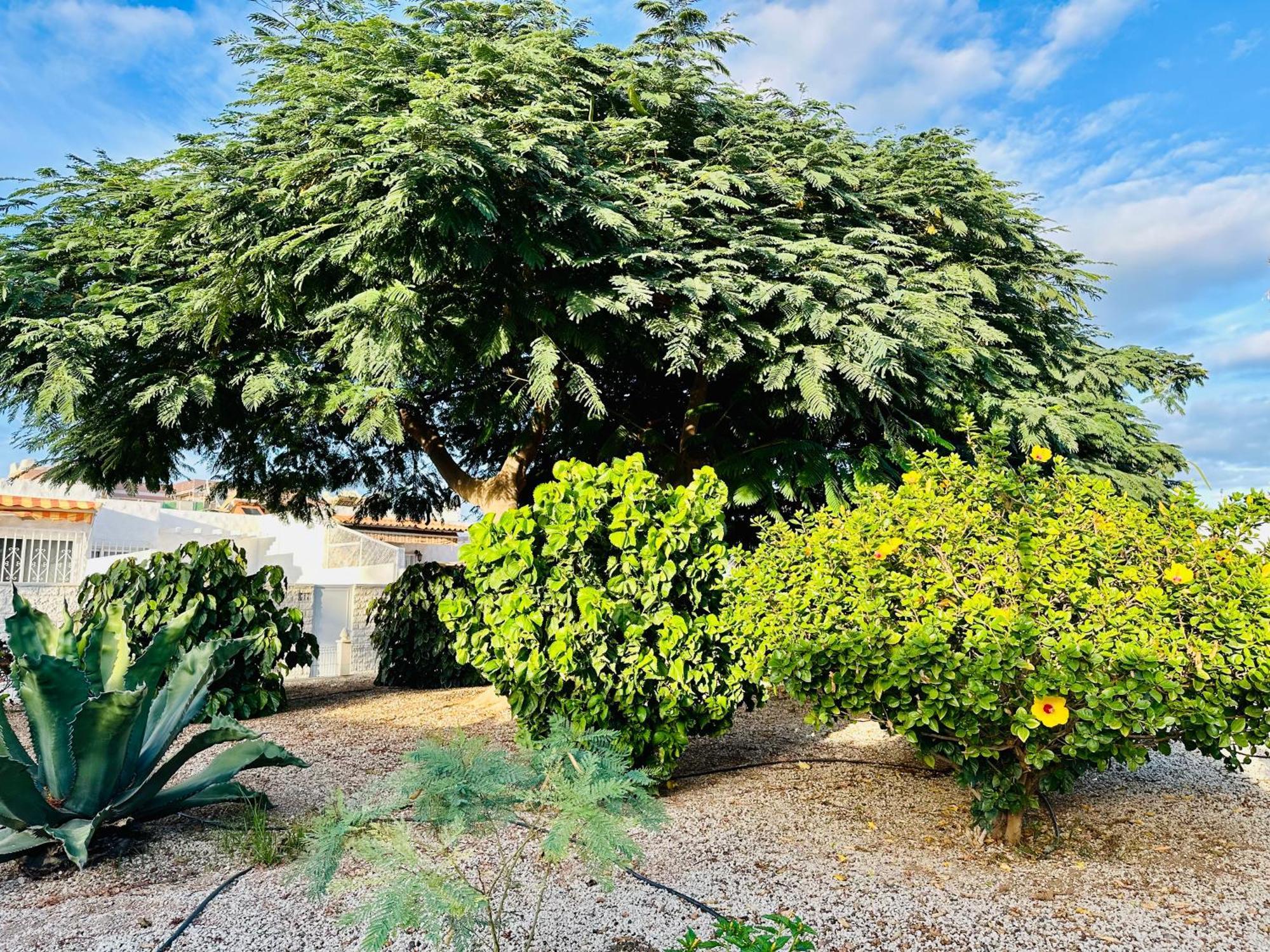 Casa Una Bungalow Delux アロナ エクステリア 写真